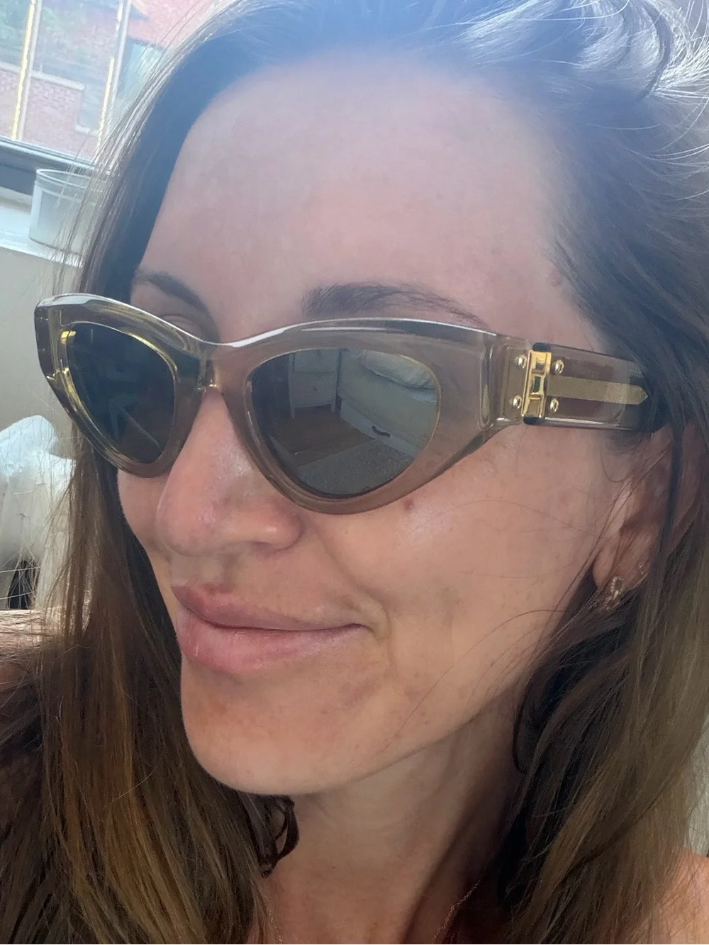 Bottega Veneta Amber Brown Cat-Eye Sunglasses